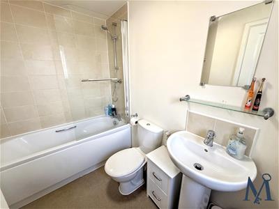Picture 17